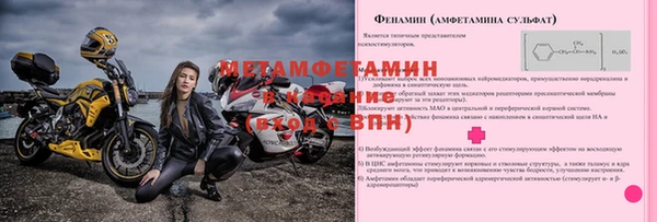PSILOCYBIN Верея