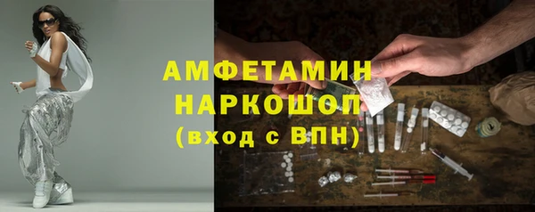 a pvp Бородино