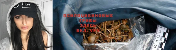 сатива Верхнеуральск