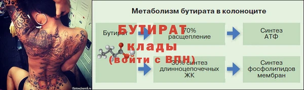 a pvp Бородино