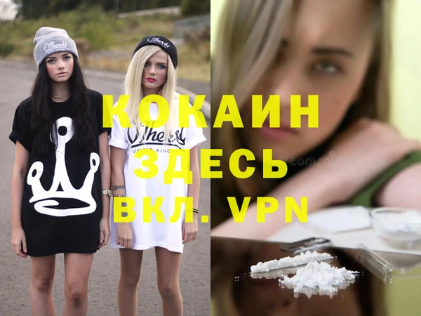 a pvp Бородино